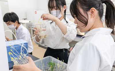 高校生が広島工業大学にやって来た